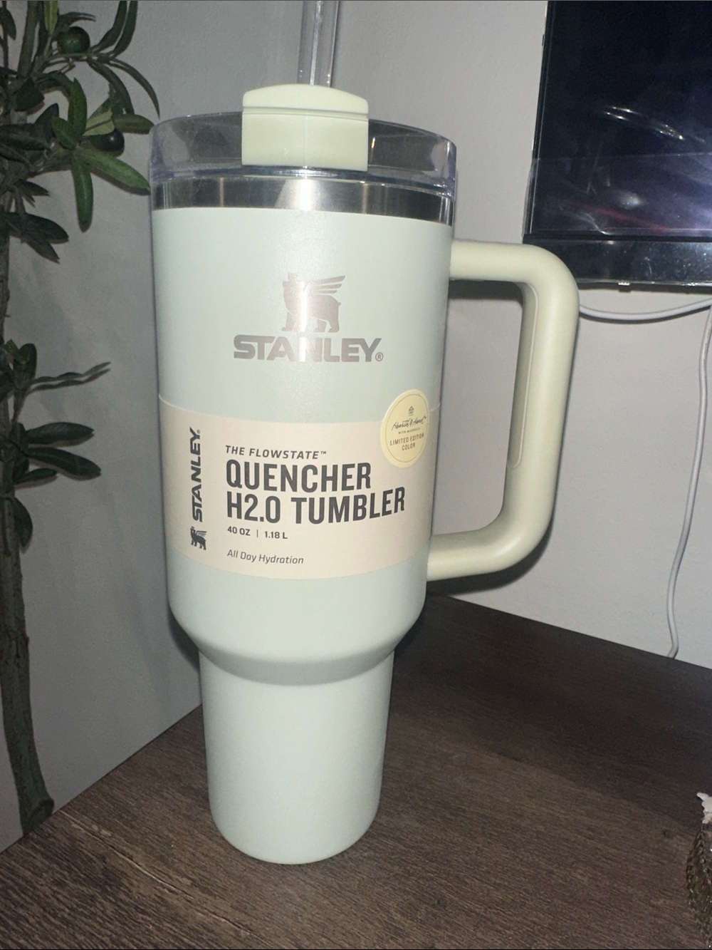Stanley Quencher H2.0 Tumbler - Light Mint